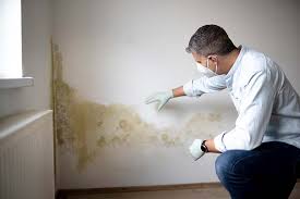 Best Real Estate Mold Inspection  in Bellmead, TX